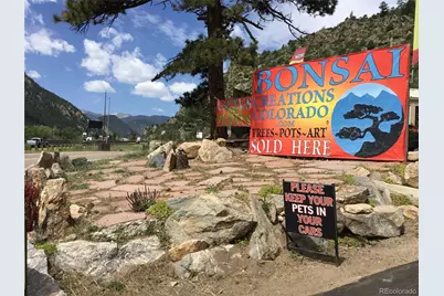 1615 County Road 308, Dumont, CO 80436 - Photo 8