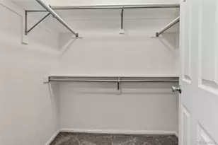 479 Black Feather Loop, Castle Rock, CO 80104 - Photo 4