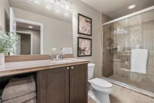 8555 Green Island Cir, Lone Tree, CO 80124 - Photo 38