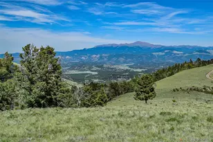 000 Bear Cat Rd, Guffey, CO 80820 - Photo 1