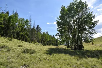 000 Bear Cat Road, Guffey, CO 80820 - Photo 18