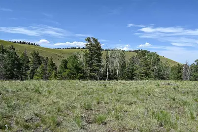 000 Bear Cat Road, Guffey, CO 80820 - Photo 24