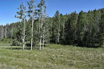 000 Bear Cat Road, Guffey, CO 80820 - Photo 12