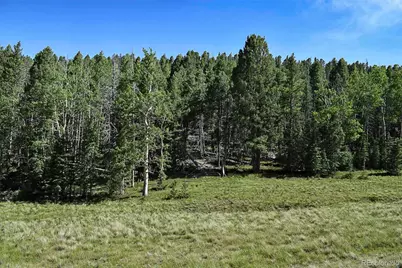 000 Bear Cat Road, Guffey, CO 80820 - Photo 14