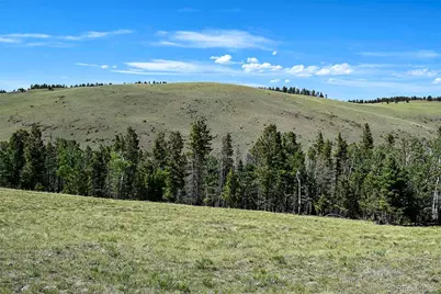 000 Bear Cat Road, Guffey, CO 80820 - Photo 38