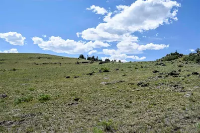 000 Bear Cat Road, Guffey, CO 80820 - Photo 34