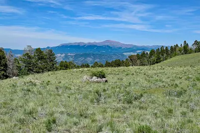 000 Bear Cat Road, Guffey, CO 80820 - Photo 22