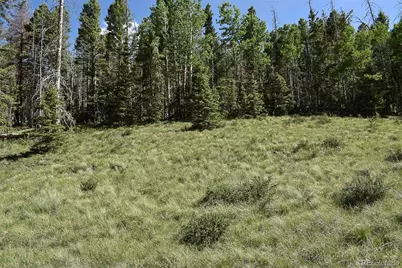 000 Bear Cat Road, Guffey, CO 80820 - Photo 16