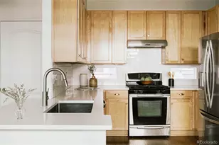 3423 Wabash St, Denver, CO 80238 - Photo 16