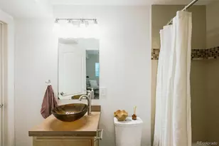 3423 Wabash St, Denver, CO 80238 - Photo 44