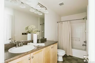 3423 Wabash Street, Denver, CO 80238 - Photo 36