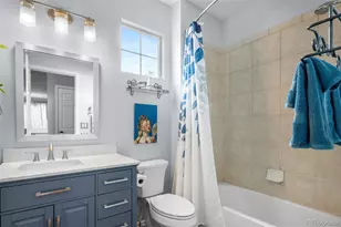 23209 Chapel Hill Pl, Parker, CO 80138 - Photo 28