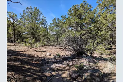 606 Peaceful Overlook, Crestone, CO 81131 - Photo 4