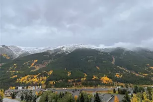 105 Wheeler Cir, Frisco, CO 80443 - Photo 30