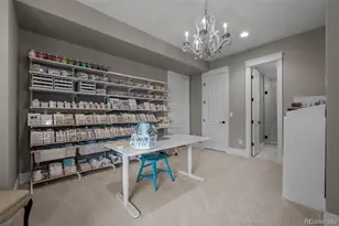 7912 Raphael Ln, Littleton, CO 80125 - Photo 40