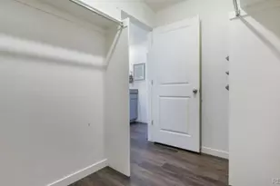 5642 Gelbray Pl, Windsor, CO 80528 - Photo 12