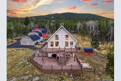 31551 Black Widow Drive, Conifer, CO 80433 - Photo 40