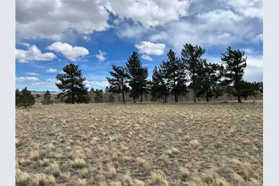 304 Brahma Circle, Hartsel, CO 80449 - Photo 4