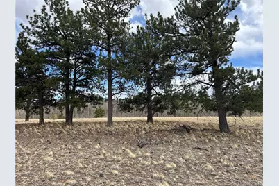 304 Brahma Circle, Hartsel, CO 80449 - Photo 1