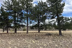 304 Brahma Cir, Hartsel, CO 80449 - Photo 1