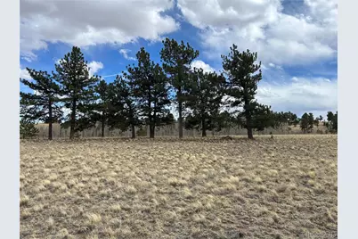 304 Brahma Circle, Hartsel, CO 80449 - Photo 12