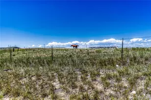 10732 Worthington Cir, Parker, CO 80134 - Photo 38
