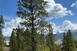 160 Birch Dr, Twin Lakes, CO 81251 - Photo 18