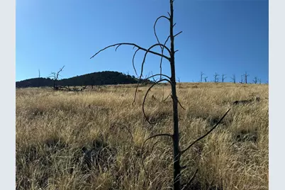 Lot 48,49 Copper Gultch, Cotopaxi, CO 81223 - Photo 24