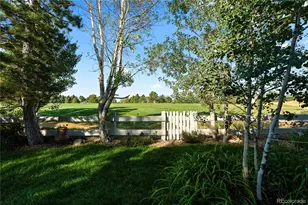 7319 Brixham Cir, Castle Pines, CO 80108 - Photo 6
