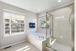 4048 Blacktail Ct, Castle Rock, CO 80109 - Photo 10