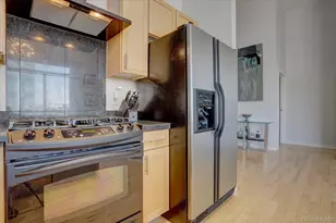 1438 Little Raven St, Denver, CO 80202 - Photo 4