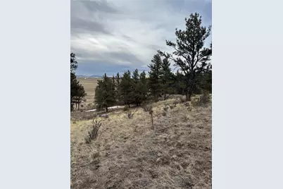 203 Loft Way, Hartsel, CO 80449 - Photo 4