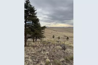 203 Loft Way, Hartsel, CO 80449 - Photo 6