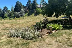 234 S Holman Way, Golden, CO 80401 - Photo 36