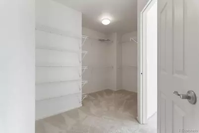 10832 Hickory Ridge Lane, Highlands Ranch, CO 80126 - Photo 22