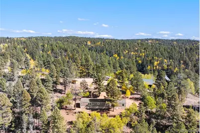 695 Elk Creek Drive, Divide, CO 80814 - Photo 2
