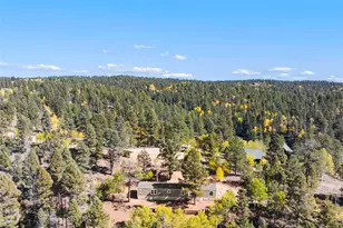 695 Elk Creek Dr, Divide, CO 80814 - Photo 2