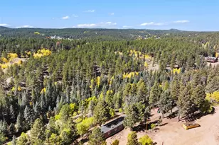 695 Elk Creek Dr, Divide, CO 80814 - Photo 26
