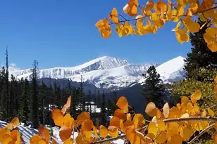 305 South Park Avenue, Breckenridge, CO 80424 - Photo 1