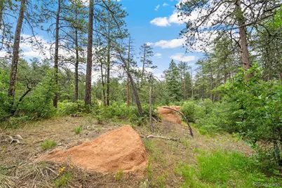 4580 Delaware Drive, Larkspur, CO 80118 - Photo 4