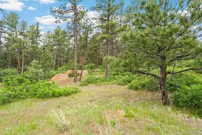 4580 Delaware Drive, Larkspur, CO 80118 - Photo 10