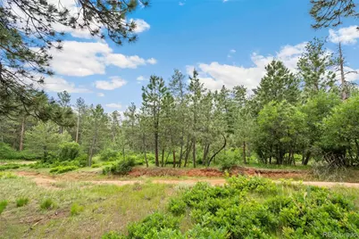 4580 Delaware Drive, Larkspur, CO 80118 - Photo 8