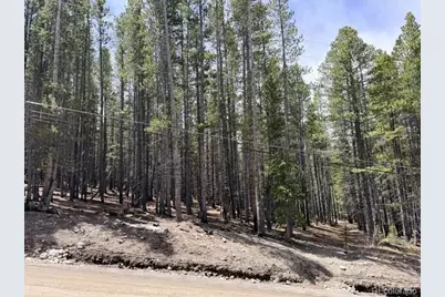 0064 Cr 534, Breckenridge, CO 80424 - Photo 8