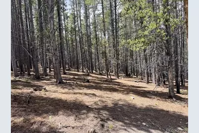 0064 Cr 534, Breckenridge, CO 80424 - Photo 6
