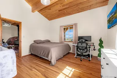 8591 Black Beaver Road, Hartsel, CO 80449 - Photo 20
