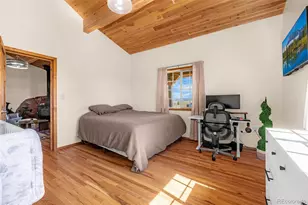 8591 Black Beaver Rd, Hartsel, CO 80449 - Photo 20