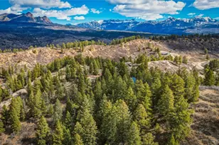 247 W Arbol Park Dr, Chromo, CO 81128 - Photo 50