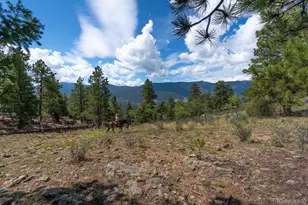 150 Summit Dr, Bailey, CO 80421 - Photo 40