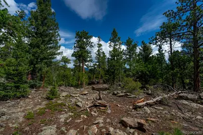 150 Summit Drive, Bailey, CO 80421 - Photo 42