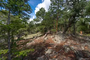 150 Summit Dr, Bailey, CO 80421 - Photo 36